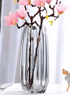 网红轻奢高级感玻璃花瓶透明花瓶