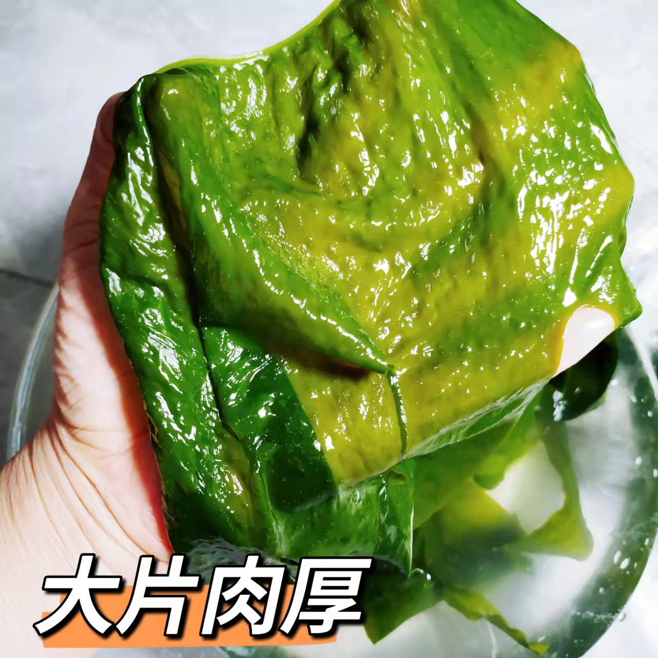 盐渍裙带菜叶海藻海鲜凉拌菜海带丝海带海白菜商用火锅食材裙带菜-图0