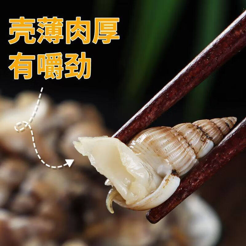 海瓜子新鲜速冻海螺丝海锥海钉特大号海捕海鲜水产商用团购批发,淘宝优惠券,粉丝福利购,淘宝优惠卷