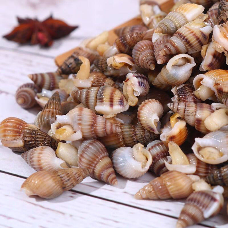 海瓜子新鲜速冻海螺丝海锥海钉特大号海捕海鲜水产商用团购批发,淘宝优惠券,粉丝福利购,淘宝优惠卷