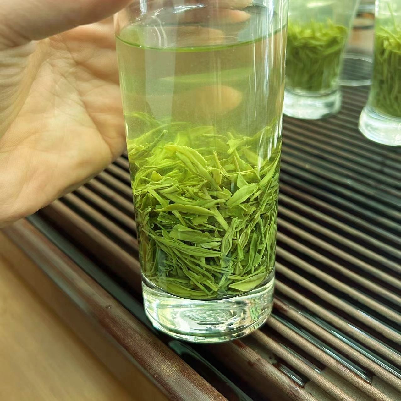 毛尖绿茶2025年新茶信阳毛尖雨前一级茶叶500g自产自销散装手工,淘宝优惠券,粉丝福利购,淘宝优惠卷