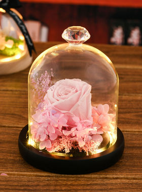 diy永生花防尘罩展示盒小摆件