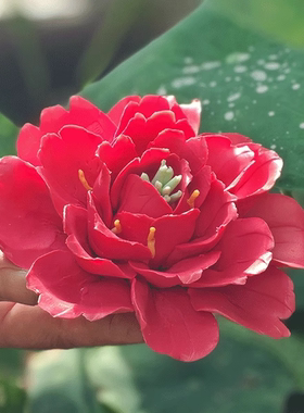 陶瓷花摆件牡丹花氛围花器装饰品