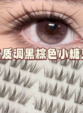 2026新款小糖豆黑棕调睫丫吖眼毛