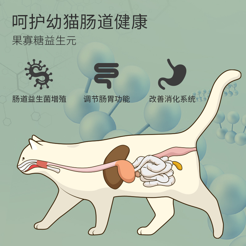 猫爸爸天然增肥发腮营养幼猫猫粮怀孕孕期哺乳期母猫专用3斤包邮优惠券