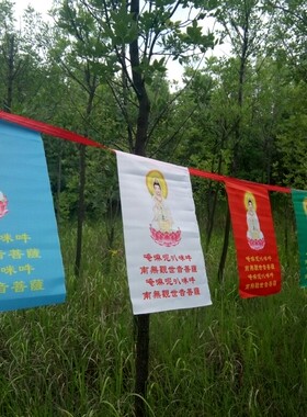 南无观世音菩萨五色经旗