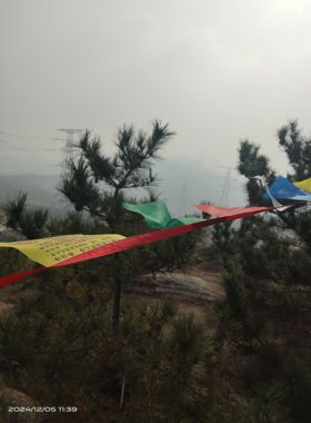 四句法印龙王五色经幡