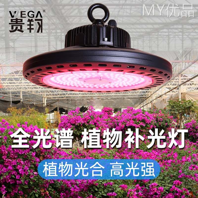 贵翔 全光谱植物生长灯多肉补光灯家用飞碟式LED室内花卉仿太阳光