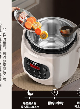 半球电压力锅2.5升家用小型1-3人迷你智能多功能全自动高压电饭锅