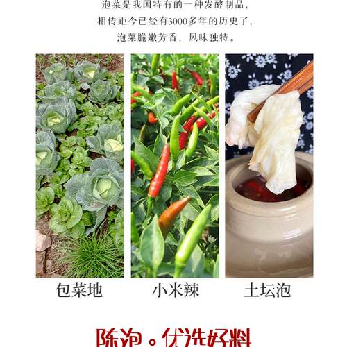 重庆酸辣泡菜卷心菜正宗老坛母水泡包菜莲花白开胃圆白菜四川泡菜 - 图1