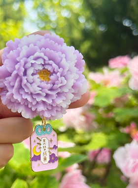 洛阳牡丹花冰箱贴文创旅游伴手礼