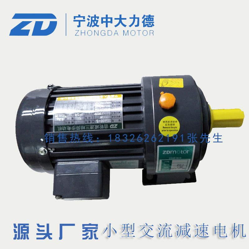 ZD200W齿轮减速电机ZH 200-90-S-G1-LD卧式出轴22小型交流马达