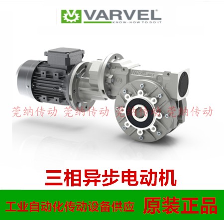 VARVEL电机T63B4 T71B4 T80B4 T90L4 T100B4 T112A4 132S4 T132M4 - 图0