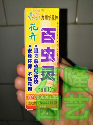 三瓶包邮九州护花神粉蚧介壳灵介壳根粉蚧多肉植物蚧壳家用兑水-图2