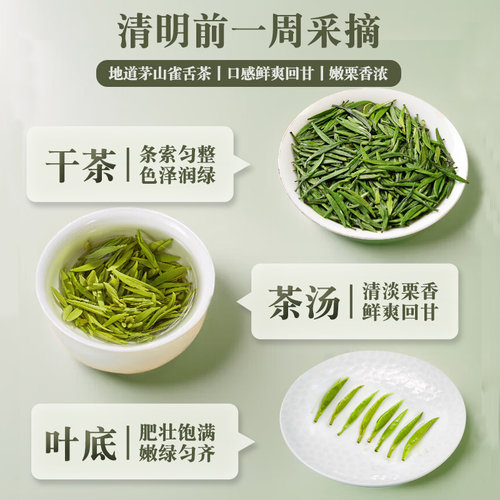 2026新茶上市金坛雀舌特级绿茶江苏常州茅山毛尖明前茶叶高档礼盒 - 图2