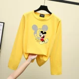 Весенняя базовая приятная телу белая футболка, лонгслив, 2022, в корейском стиле, большой размер, подходит для полных девушек