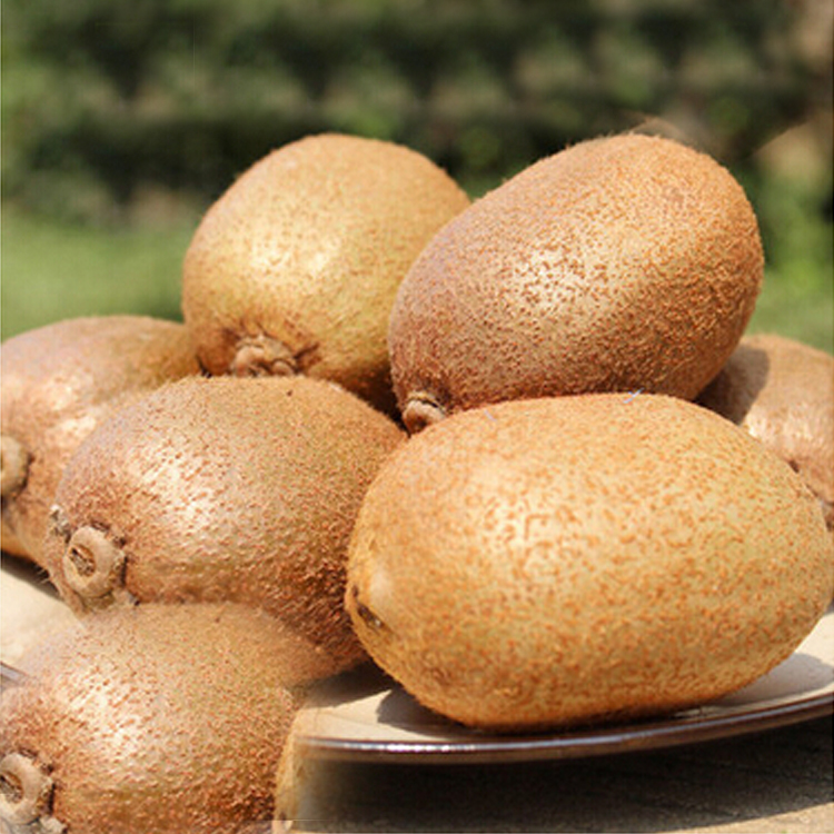 天使芳菲旗舰店天使芳菲 眉县徐香猕猴桃新包邮野生陕西绿心迷泥弥猴桃奇异果0