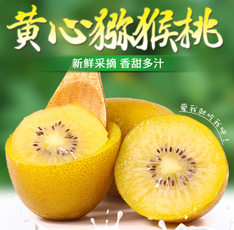 天使芳菲旗舰店天使芳菲 黄心猕猴桃新鲜包邮四川蒲江黄肉迷泥弥猴桃奇异果大果0