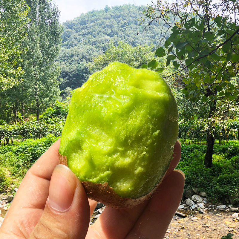 天使芳菲旗舰店天使芳菲 眉县徐香猕猴桃新鲜包邮陕西绿心泥猕弥胡猴桃奇异果0