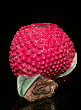 小花瓶家居客厅荔枝植物工艺品