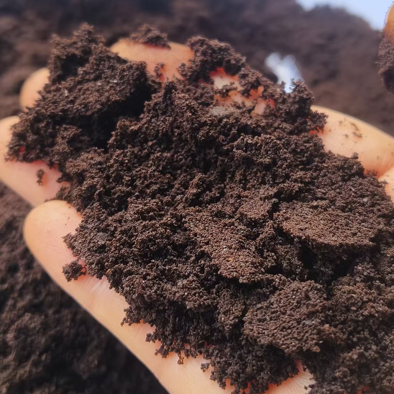 咖啡渣新鲜晒干除异味环保线香粉2斤包邮,淘宝优惠券,粉丝福利购,淘宝优惠卷