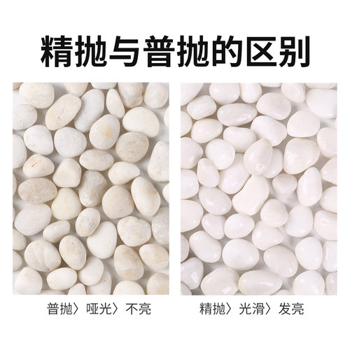 白色鹅卵石抛光白石头铺地雨花石原石庭院花园鱼缸造景天然白石子 - 图1