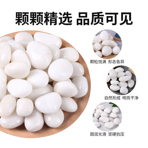 白色鹅卵石抛光白石头铺地雨花石原石庭院花园鱼缸造景天然白石子 - 图2