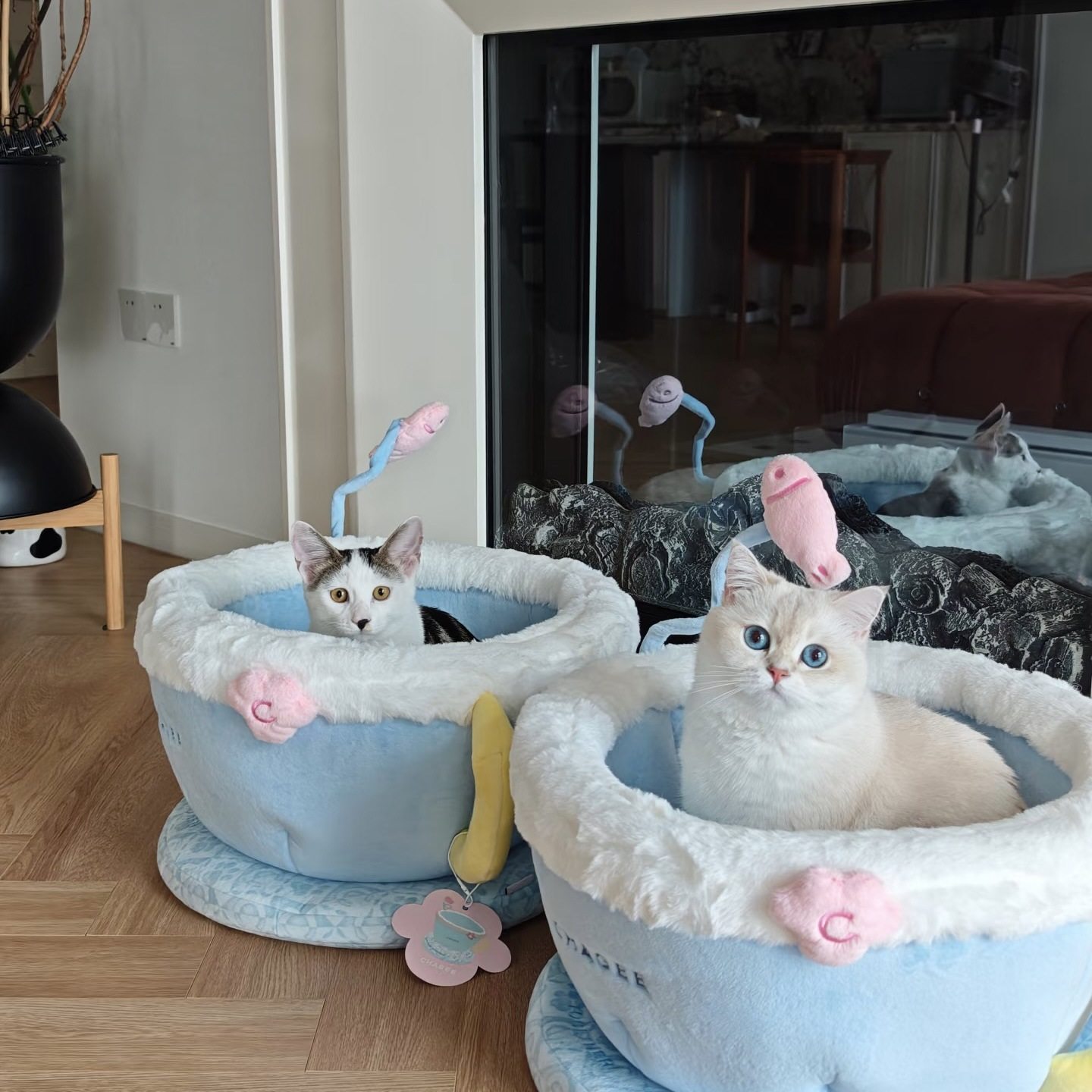 小红书同款爆火可爱猫窝茶杯猫窝毛绒可爱舒适居家宠物被子坐垫猫,淘宝优惠券,粉丝福利购,淘宝优惠卷