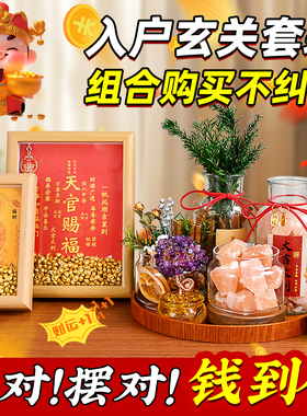 家居玄关入户摆件肉桂生财粗盐净宅大颗粒电视餐边柜招财客厅装饰