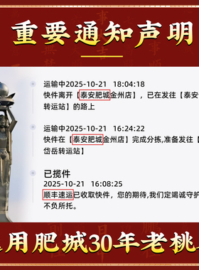 泰山直发桃木东南枝剑小挂件男女孕妇随身朱砂婴儿宝宝惊外出狗牙