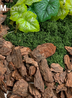 苔藓室内户外搭配绿植装饰超自然