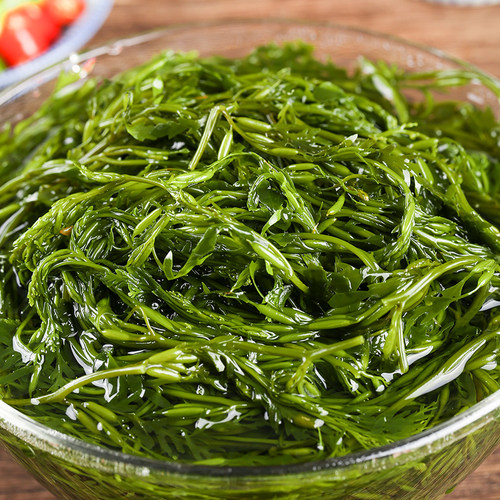鞭炮笋新鲜海藻盐渍马尾藻海草长寿菜羊栖菜海带海菜火锅食材商用 - 图0