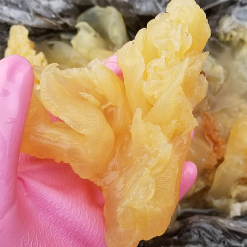 海蜇头新鲜3斤桶装海蜇丝皮威海荣成特产非即食水产凉拌菜商用 - 图1