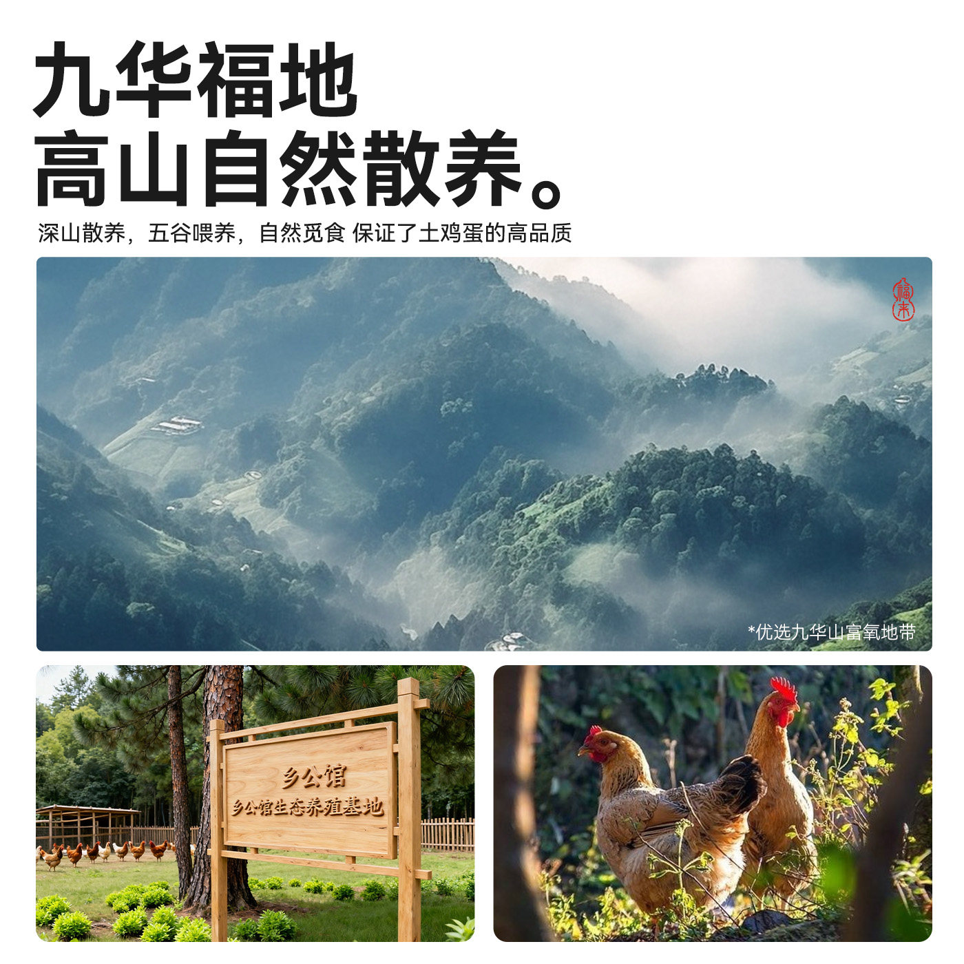 乡公馆九华山土鸡蛋新鲜正宗农家散养笨鸡蛋草鸡蛋农村无抗柴鸡蛋,淘宝优惠券,粉丝福利购,淘宝优惠卷