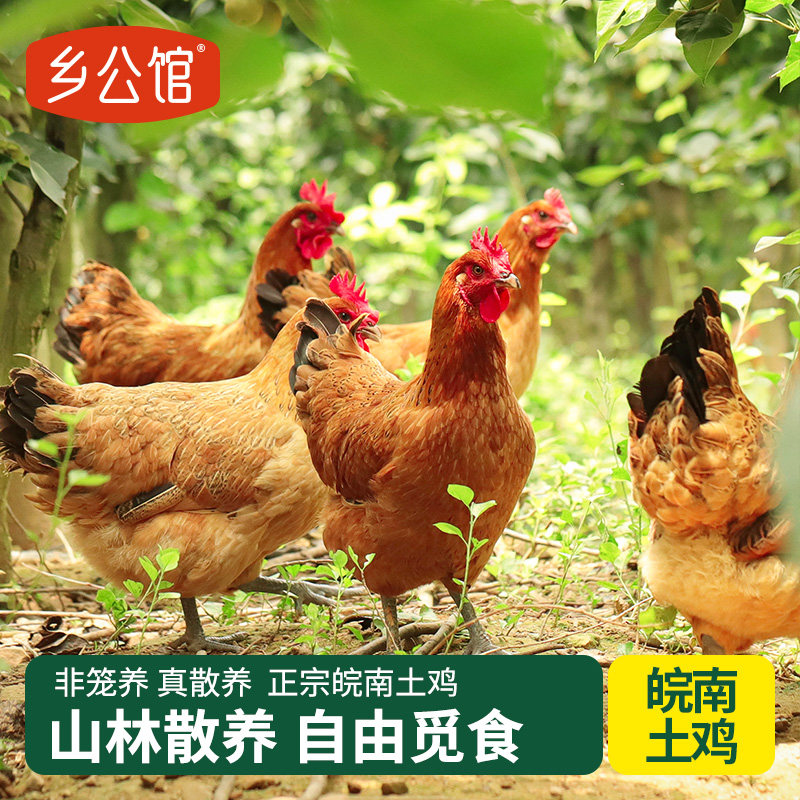 乡公馆皖南土鸡蛋新鲜正宗农家散养柴鸡蛋纯农村草鸡蛋笨鸡蛋生鲜,淘宝优惠券,粉丝福利购,淘宝优惠卷