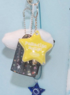 THENCE钥匙链发光海豚星星吊坠