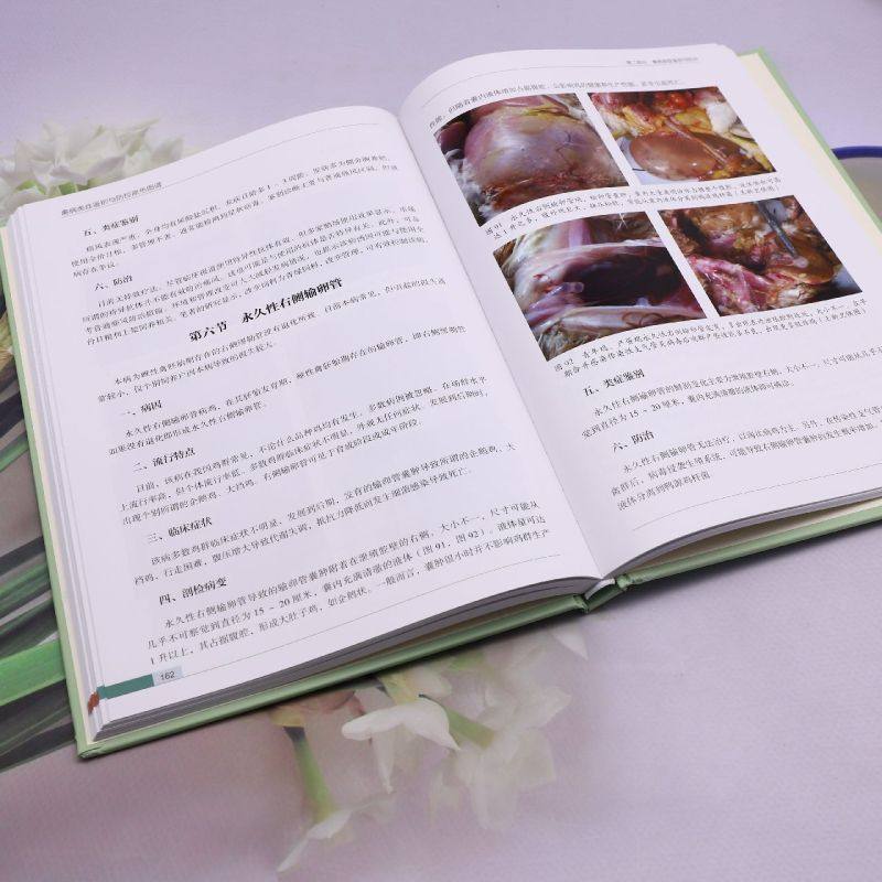 【新华正版】禽病类症鉴别与防控原色图谱(精)/畜禽疾病类症鉴别与防控原色图谱丛书 王新卫 河南科技