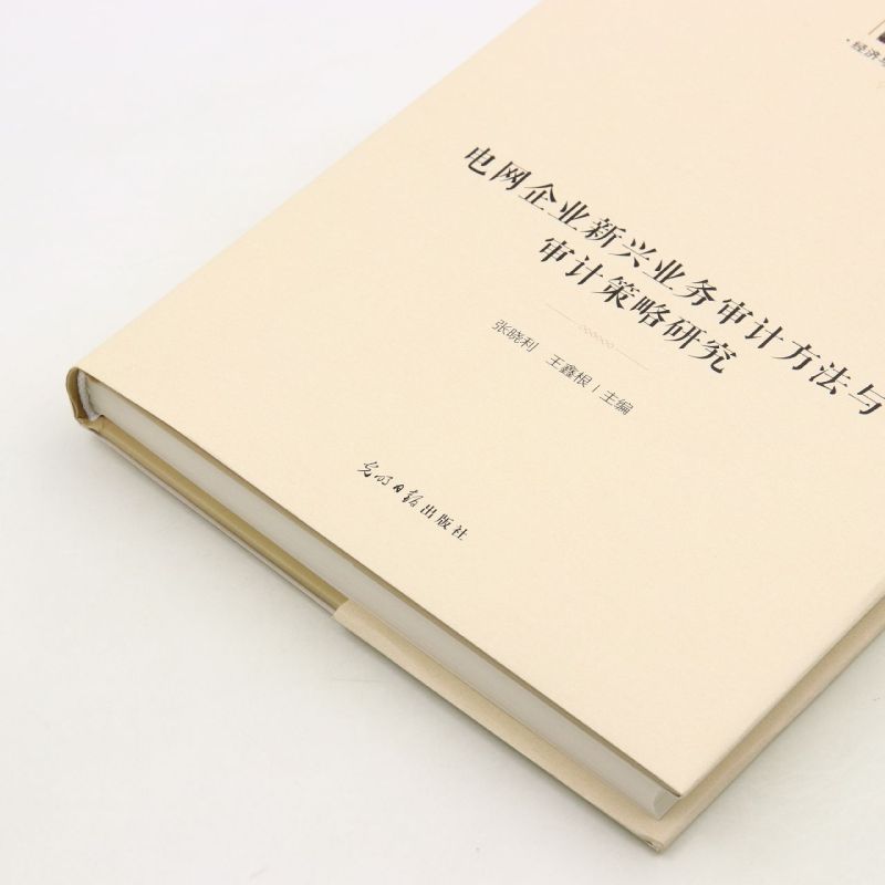 电网企业新兴业务审计方法与审计策略研究(精)/经济与管理书系/光明社科文库-图1