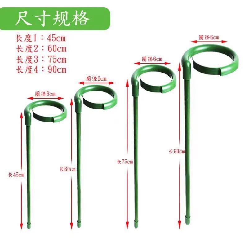 防倒伏种花卉吊兰花架支撑杆园艺植物朱顶红固定撑花扶正杆子支架 - 图1