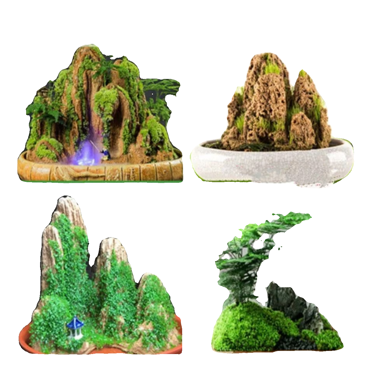 种在石头上水石吸水石假山造景上种的绿植盆景植物珍珠草苔藓草籽,淘宝优惠券,粉丝福利购,淘宝优惠卷