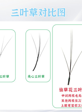 仙草花三叶草嫁接睫毛漫画仙女款升级四叶草浓密花仙草美睫店