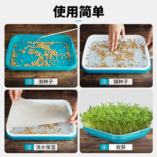 汉轩多肉筛土盘种子发芽盘豆芽菜种芽盆绿豆育苗盘家用无土栽培盆 - 图1