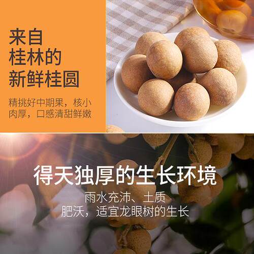 漓品桂桂圆肉100g瓶装 - 图0