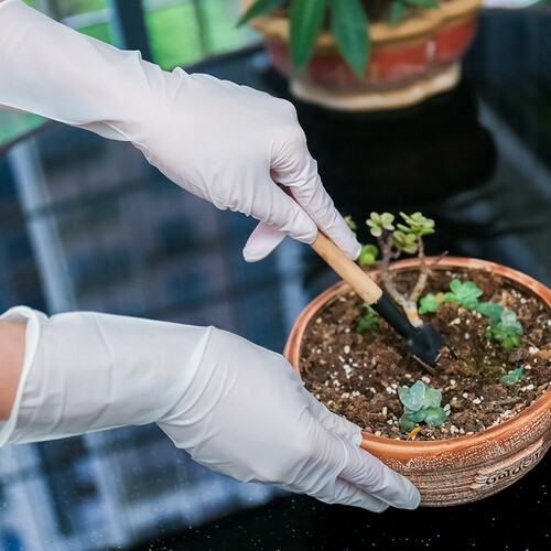 拓丰一次性加厚加长白色耐油耐用型丁腈乳胶橡胶家用清洁丁晴手套 - 图2