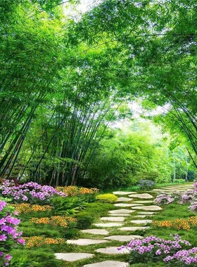 清新治愈系风景自粘画客厅沙发背景防水贴画网红直播间背景装饰画