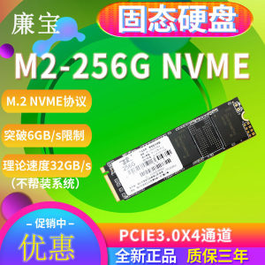 LB/廉宝 L6N8 60G120G240G64G M.2 128G 256G NVME 固态硬盘 SSD