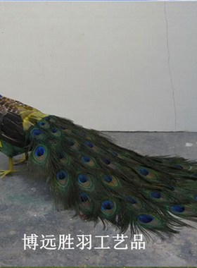 仿真孔雀摆件标本动物模型工艺品家居客厅M橱窗装饰品婚庆摄影道