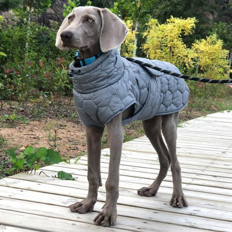 狗狗衣服加厚保暖魏玛灵缇犬拉布拉多户外棉衣马甲滑雪服防风高领 - 图1