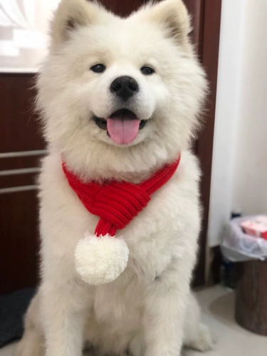 Шерстяной удерживающий тепло шарф, демисезонный пуховик