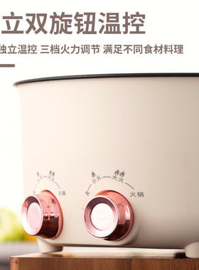 电热火锅多功能家用鸳鸯锅大容量宿舍蒸煮一体炒菜料理炒锅两味锅